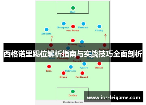 西格诺里踢位解析指南与实战技巧全面剖析 西格诺里踢位解析指南与实战技巧全面剖析