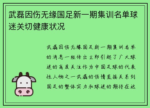 武磊因伤无缘国足新一期集训名单球迷关切健康状况